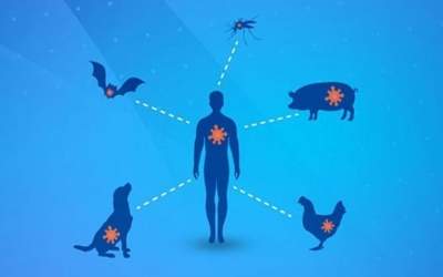 سه‌چهارم عفونت‌های نوظهور انسانی ریشه حیوانی دارند