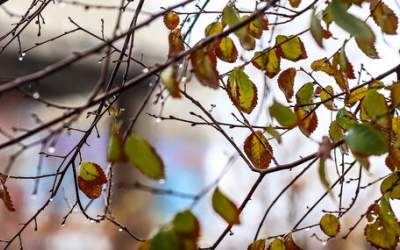 هشدار ورود سامانه بارشی جدید