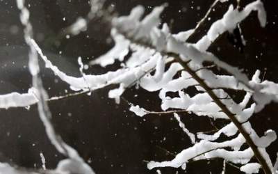 دمای هوا از امروز ۱۲ درجه سردتر می‌شود